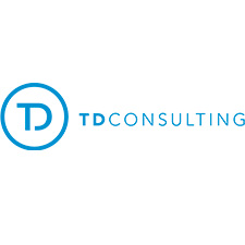 logo TDconsulting